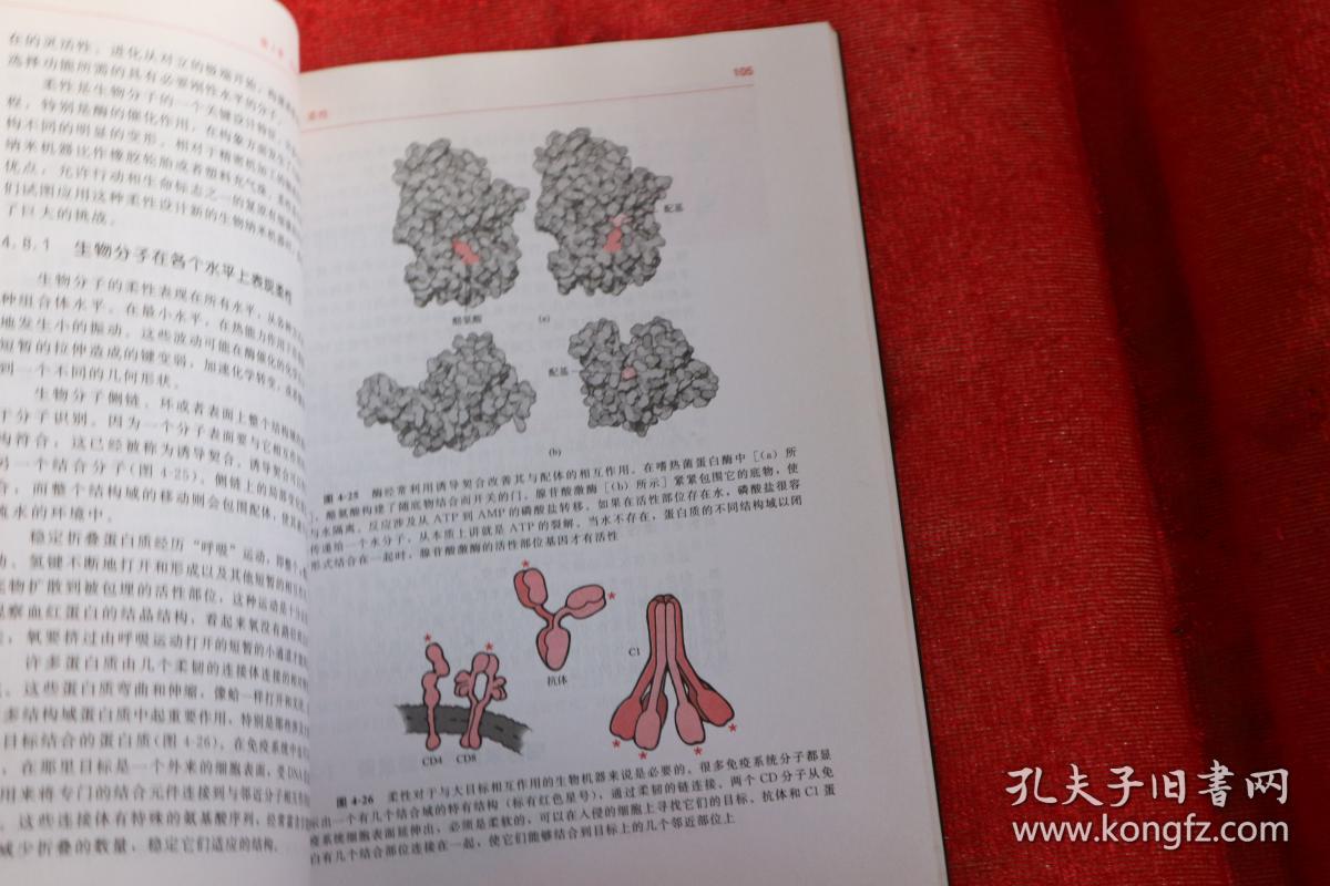 生物纳米技术：来自自然的启示