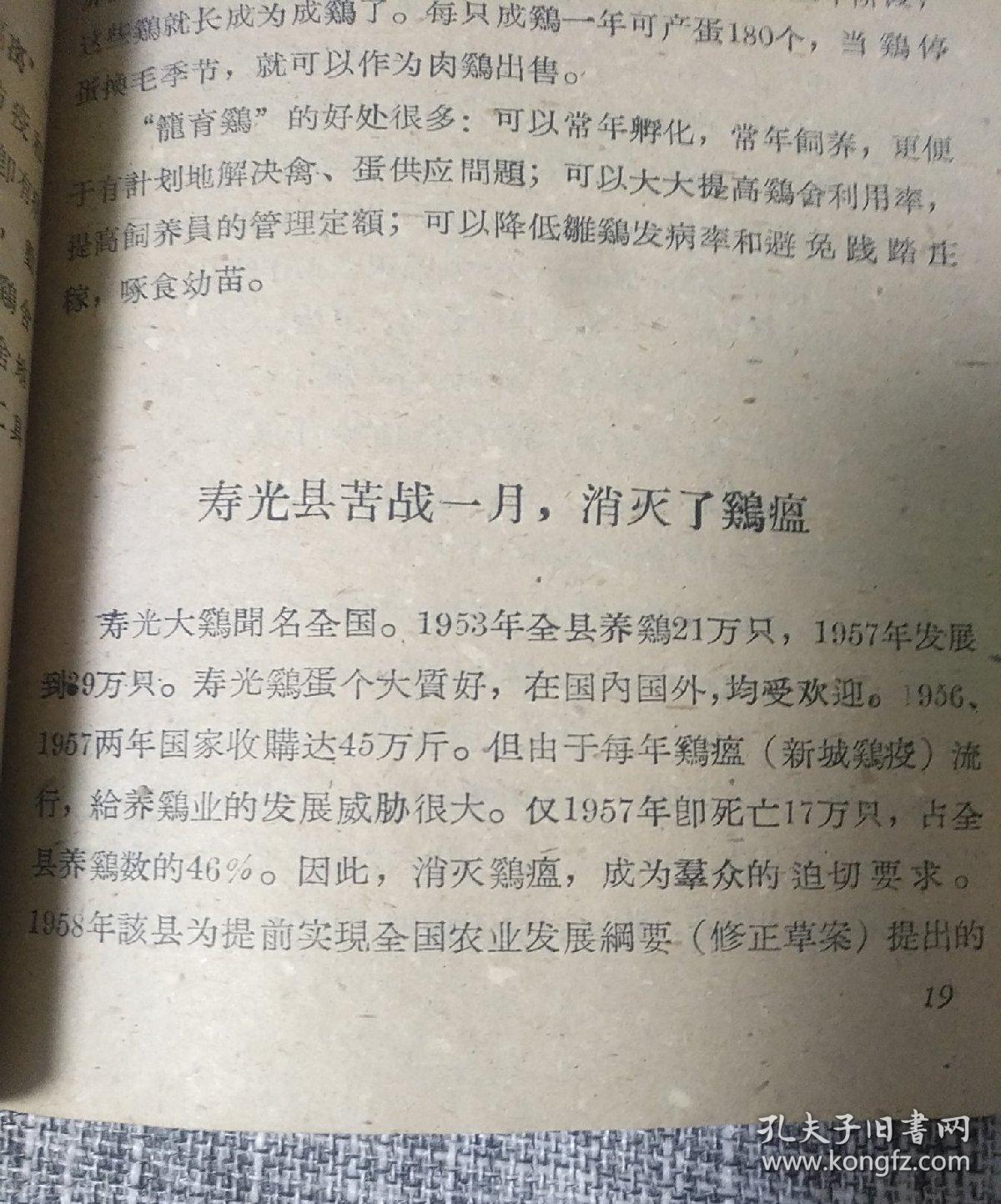 集体养鸡鸡肥蛋多[1959年]