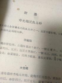 集体养鸡鸡肥蛋多[1959年]