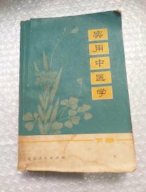 实用中医学 下 北京人民出版社
