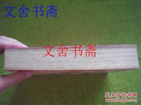 胡利娅姨妈与作家（拉丁美洲文学丛书）