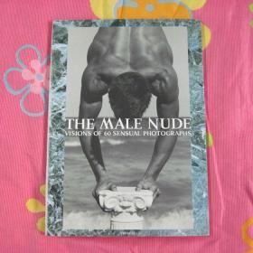 THE MALE NUDE 艺术写真集  日版