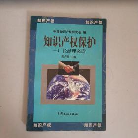 知识产权保护:厂长经理必读