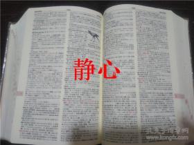 新グロ－バル英和辞典