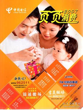 中国电信页页消费2007年