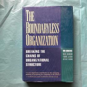 英文原版The Boundaryless Organization: Breaking The Chains Of Organizational Structure 无边界组织：打破组织结构的链条