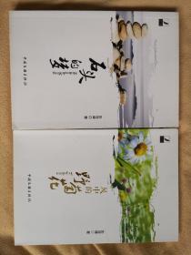 当代作文学库第7辑《石头的梦》《风中的野菊花》两册和售