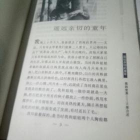 王姬自述《我的世界》(自传 软精装一册全 附作者58幅彩色生活艺术照)