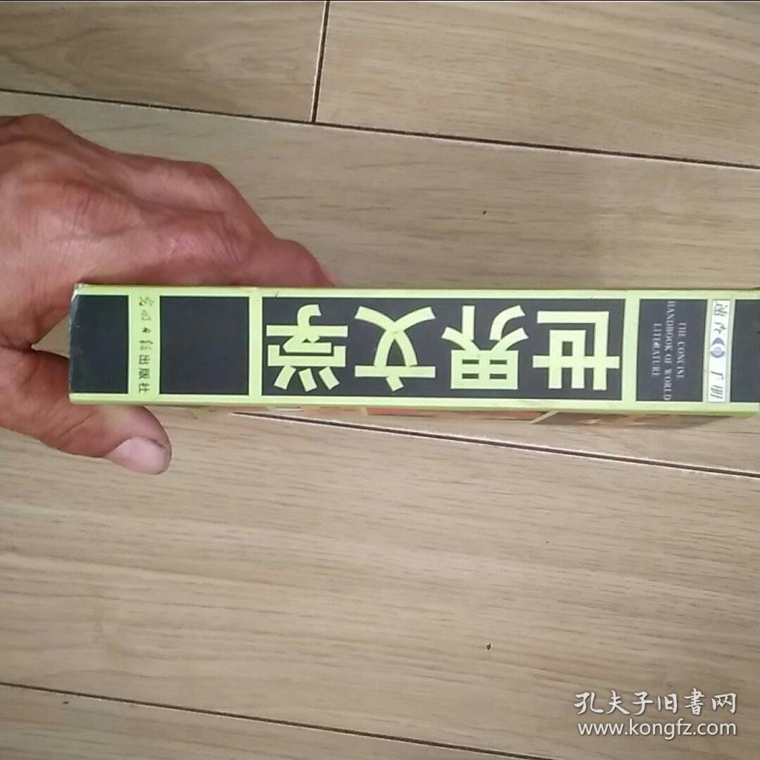 世界文学速查手册61A