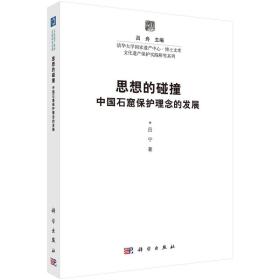 思想的碰撞：中国石窟保护理念的发展 9787030499004