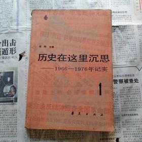 历史在文里沉思   1966年一1976年记实   第一卷