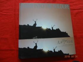 走进野性家园 卜建平高原野生动物摄影作品