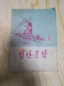 青年文学 1996.5朝鲜文
청년문학