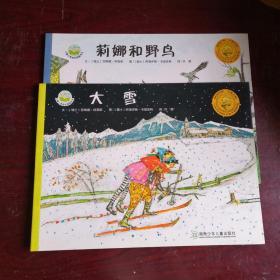 儿童心灵成长图画书系：《大雪》、《莉娜和野鸟》2本合售