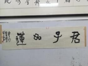 蒋新华书法