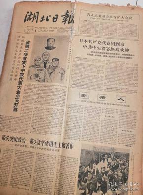 湖北日报1966年3月1日--31日   馆藏 见描述