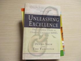 UNLEASHING EXCELLENCE：THE COMPLETE GUIDE TO ULTIMATE CUSTOMER SERVICE【521】英文原版