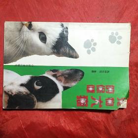 宠物犬猫的保健