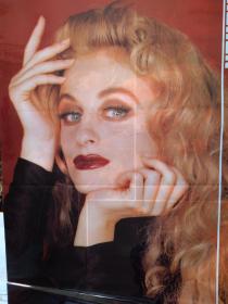 美女挂历，1992年挂历 美神，外国美女发型，淑女，13张全，塑膜，50X72厘米
