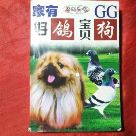 家有好鸽宝贝狗