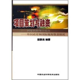 项目策划与融资：国家扶持项目情况外国政府和国际机构贷款情况