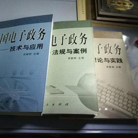 中国电子政务：法规与案例、技术与应用、理论与实践（全三册）——中国电子政务系列丛书