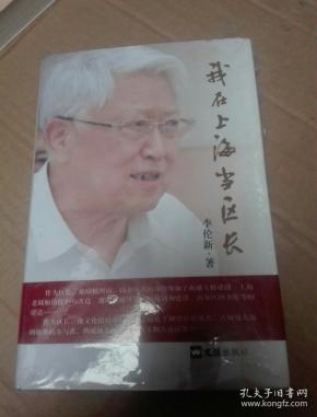 我在上海当区长