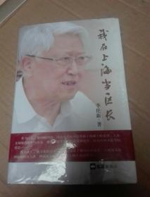 我在上海当区长