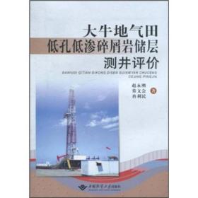 大牛地气田低孔低渗碎屑岩储层测井评价