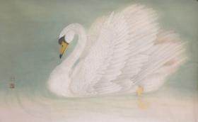 国画《白天鹅》 生宣 原创 保真 非行画 艺术品 收藏 有装裱 包邮