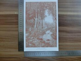 【现货 包邮】1890年小幅木刻版画《森林小溪》(am wald)尺寸如图所示（货号400301）