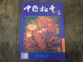 中国拍卖2002.8