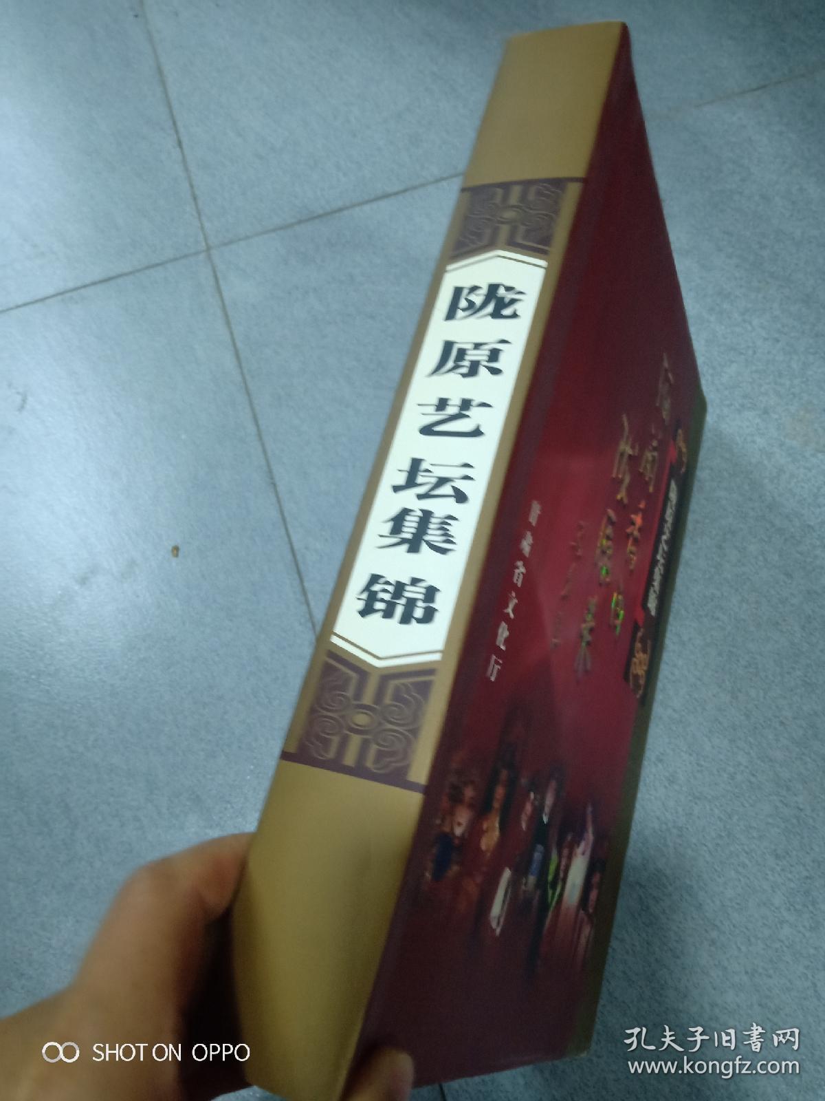 陇原艺坛集锦(梅兰香自陇原来)内有周桦专辑两张，窦风琴专辑两张，雷通霞秦腔折子戏《探窑》两张，谭建勋专辑两张，边肖专辑两张，马少敏京剧两张，官鹅情歌两张，大河情剧目两张。内页共装17张碟片一张为空，现共有16张碟片，为空那一页如图。