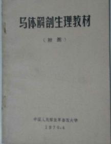 马体解剖生理教材附图（带毛主席语录，马专刊，兽医）