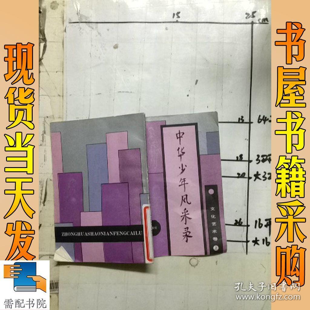 中华少年风采录 文化艺术卷  上