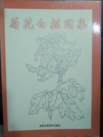 菊花白描图集/中国传统工艺美术资料丛书