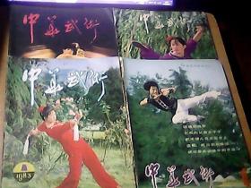中华武术（1983年1——4全）