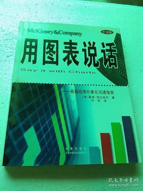 用图表说话：高级经理商务图表指南