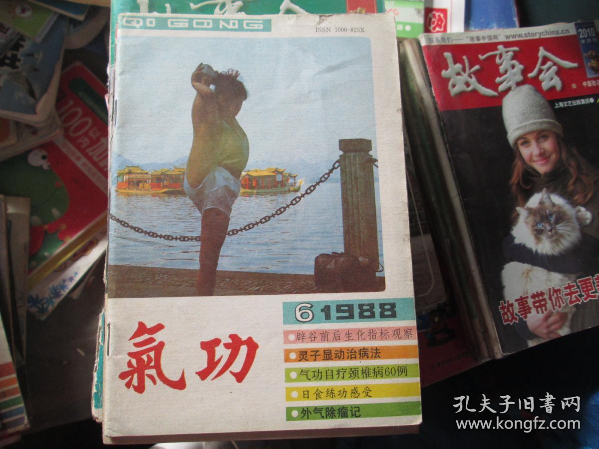 气功 1988.6 辟谷前后生化指标观察 灵子显动治病法 气功自疗颈椎病60例 日食练功感受 外气除瘤记