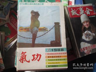 气功 1988.6 辟谷前后生化指标观察 灵子显动治病法 气功自疗颈椎病60例 日食练功感受 外气除瘤记