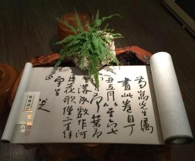 现货【八大山人 河上花图】戴胜山房限量复制200件 水墨画大写意 天津博物馆珍藏 朱耷