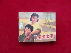 小燕和大燕