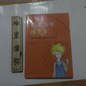 天才少年维克多