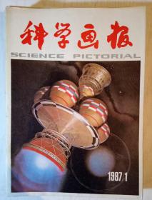 科学画报1987全年12册合售