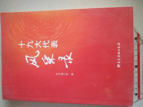 十九大代表风采录