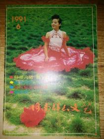 河南群众文艺1991.6