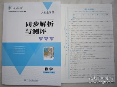 2019同步解析与测评数学六年级下册 6年级下册数学同步解析与测评