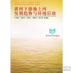 黄河下游地上河发展趋势与环境后效——“八五”国家重点科技攻关项目“黄河治理与水资源开发利用”系列专著