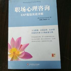 职场心理咨询：EAP高级实战详解