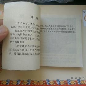 红雨，〈无封面，残书〉